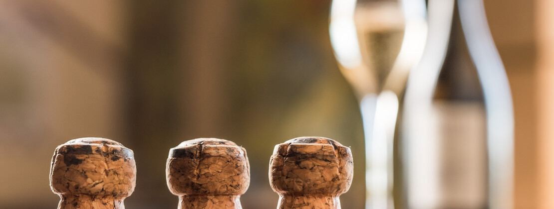 Champagne détail - CDT AUBE.jpg